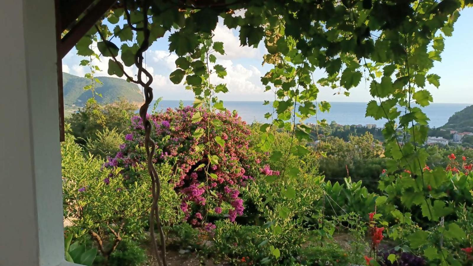 Vila Pogled Petrovac Exteriör bild