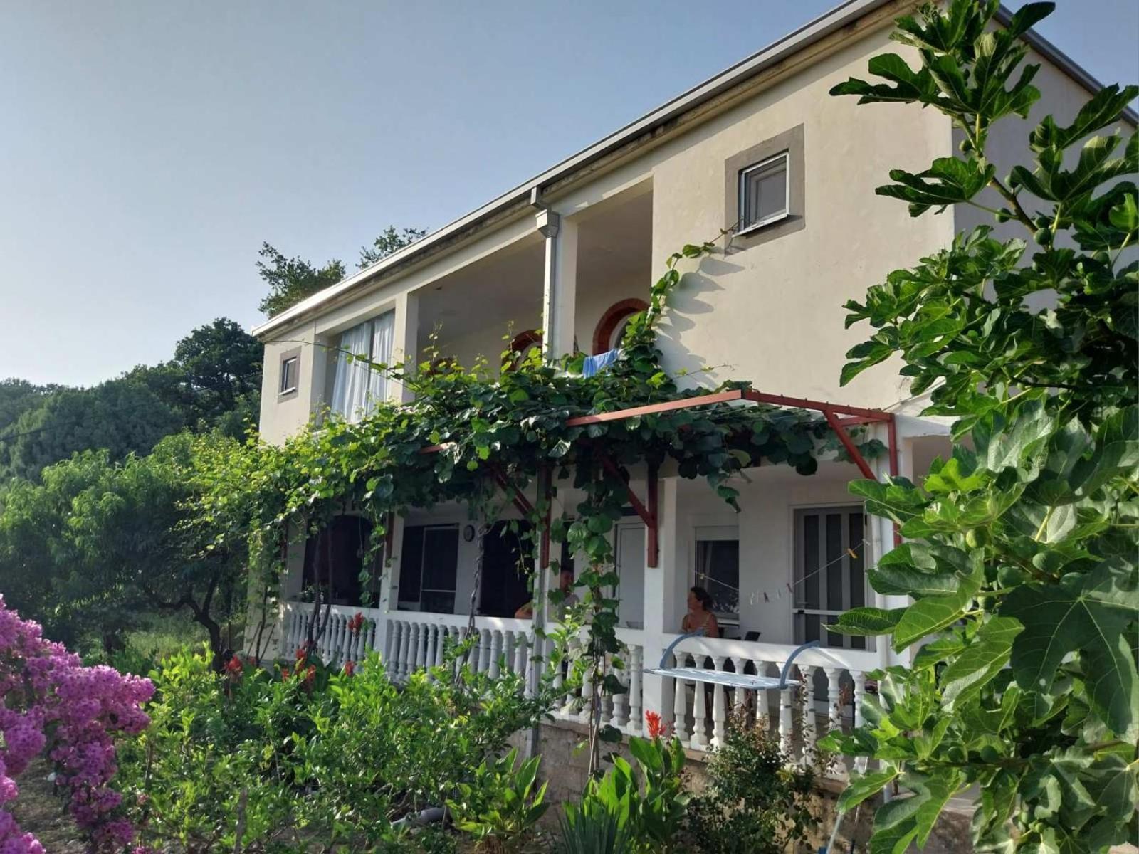 Vila Pogled Petrovac Exteriör bild