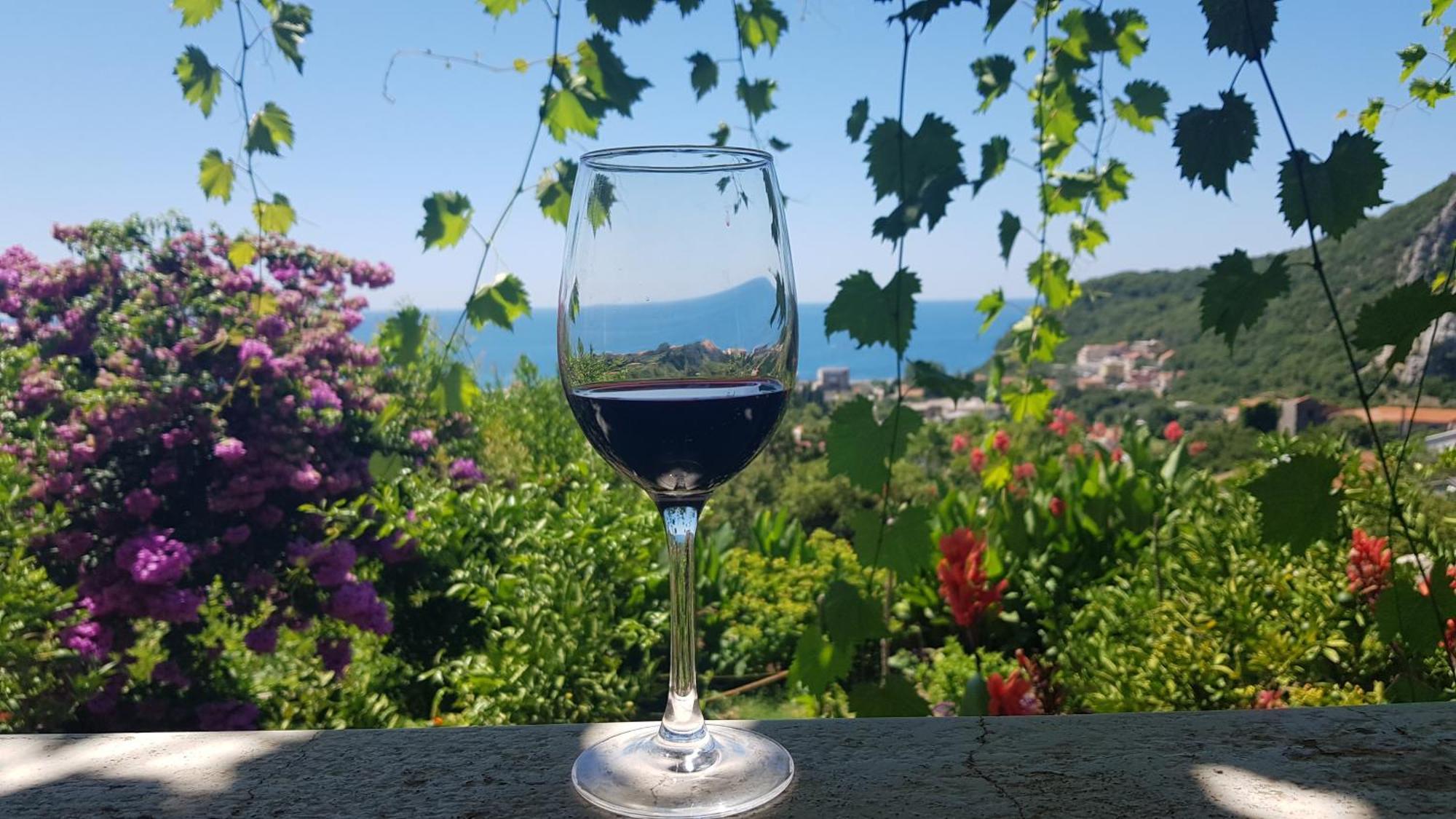 Vila Pogled Petrovac Exteriör bild
