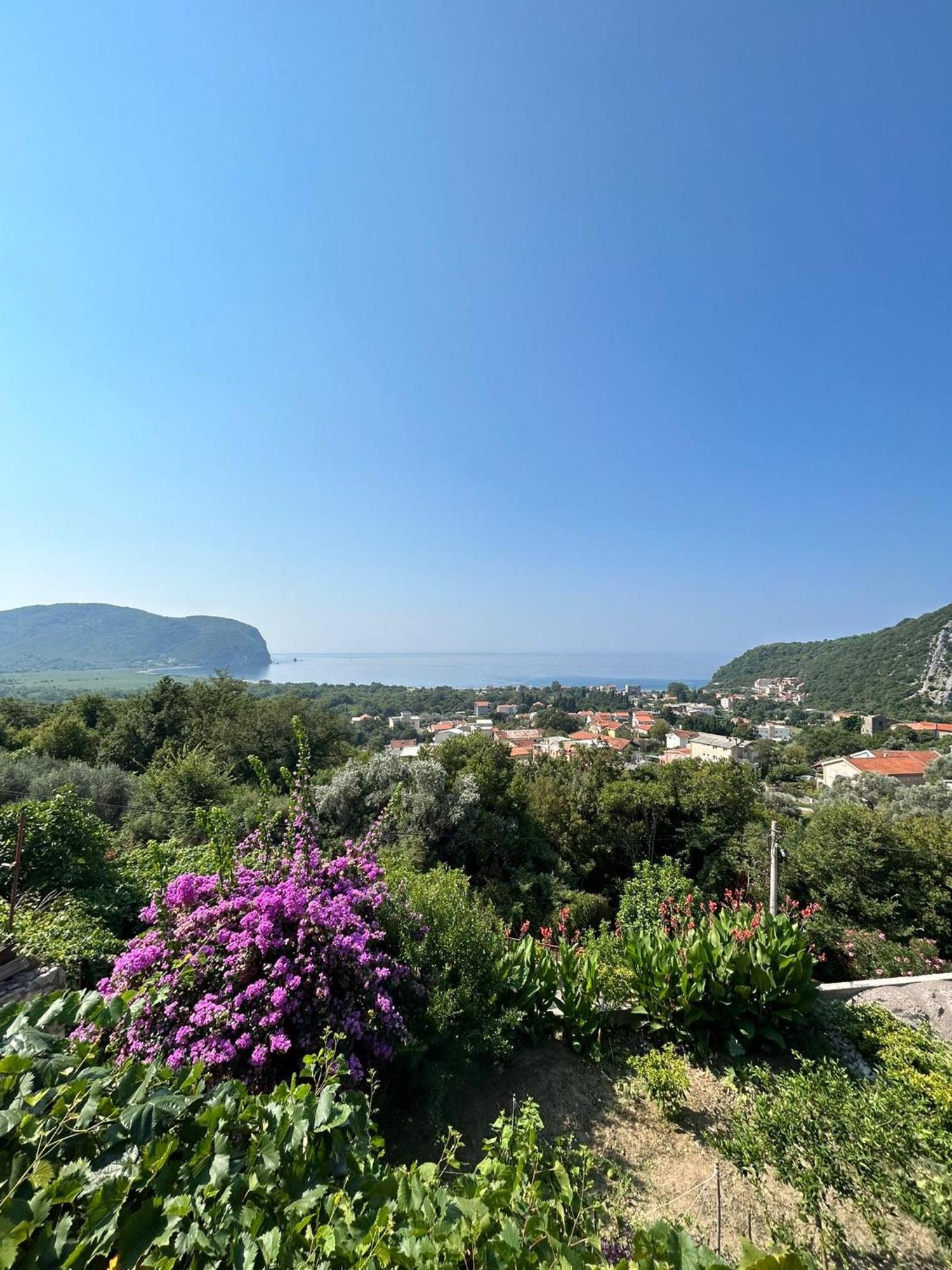 Vila Pogled Petrovac Exteriör bild